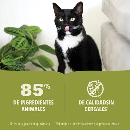 Acana | Premium paté - Pollo (85g) - Imagen 3