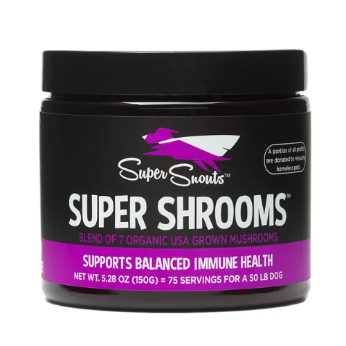 SUPER SHROOMS – Hongos Medicinales