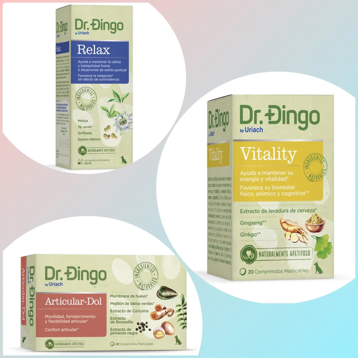 Suplementos para Perros – Dr.Dingo