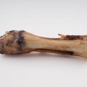 Tibia de Vaca