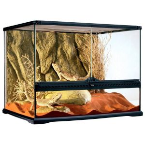 Exo Terra Glass Terrarium 60 x 45 x 45cm PT2610 Terrario Cristal