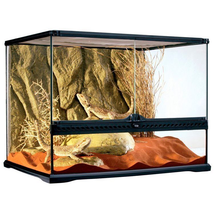Exo Terra Glass Terrarium 60 x 45 x 45cm PT2610 Terrario Cristal